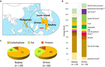 Impact of Westernized Diet on Gut Microbiota in Children on Leyte Island